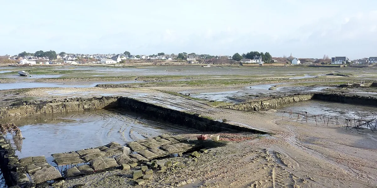Vue de Carnac